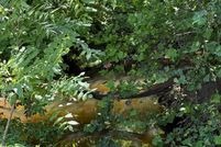 Property for sale in Boone County, Missouri