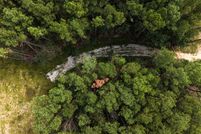 Property for sale in Lee County, Mississippi