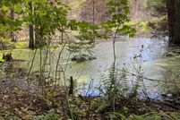 Property for sale in Luce County, Michigan