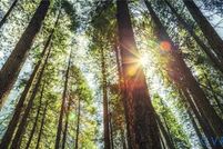 Property for sale in Powhatan County, Virginia