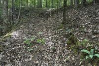 Property for sale in Macon County, North Carolina