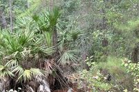 Property for sale in Marion County, Florida