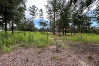 Undeveloped Land for sale in Marion County, Florida