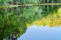 Property for sale in Fayette County, Georgia