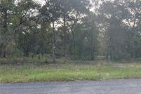 Undeveloped Land for sale in Levy County, Florida
