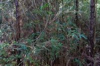 Property for sale in Suffolk City County, Virginia