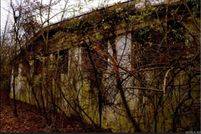 Undeveloped Land for sale in Phillips County, Arkansas