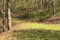 Property for sale in Gilmer County, Georgia