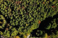 Property for sale in Windsor County, Vermont