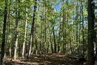 Property for sale in Cheboygan County, Michigan