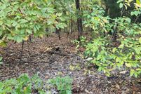 Property for sale in Fulton County, Arkansas