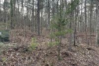Undeveloped Land for sale in Saline County, Arkansas