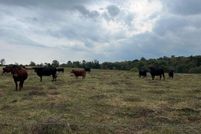 Property for sale in Fleming County, Kentucky