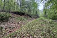 Undeveloped Land for sale in Cocke County, Tennessee