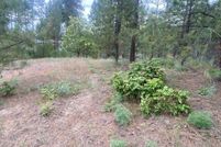 Undeveloped Land for sale in Stevens County, Washington
