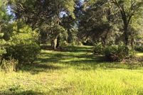 Undeveloped Land for sale in Columbia County, Florida