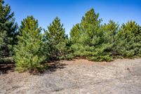 Undeveloped Land for sale in Juneau County, Wisconsin