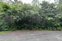 Undeveloped Land for sale in Saint Clair County, Alabama