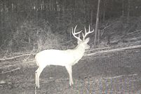 Property for sale in Jefferson County, Alabama