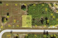 Undeveloped Land for sale in Charlotte County, Florida