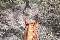 Property for sale in Hunt County, Texas