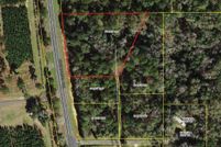 Undeveloped Land for sale in Gadsden County, Florida