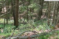 Property for sale in Ashe County, North Carolina