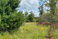 Waterfront Property for sale in Cheboygan County, Michigan