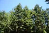 Property for sale in Del Norte County, California
