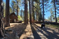 Undeveloped Land for sale in Placer County, California