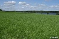 Property for sale in Saint Clair County, Michigan