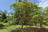 Property for sale in Lee County, Florida