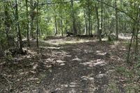 Undeveloped Land for sale in Clarendon County, South Carolina
