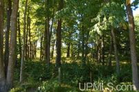 Lakefront Property for sale in Iron County, Michigan