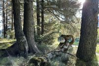 Property for sale in Kenai Peninsula Borough, Alaska