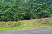 Undeveloped Land for sale in Gilmer County, Georgia