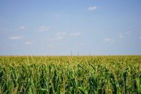 Undeveloped Land for sale in Grant County, Kansas