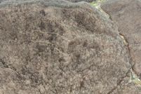 Property for sale in Clay County, Kentucky