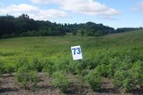 Undeveloped Land for sale in Laurel County, Kentucky