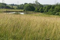 Property for sale in Pulaski County, Kentucky