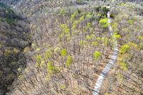 Property for sale in Wayne County, Kentucky