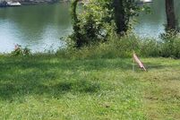 Property for sale in Garrard County, Kentucky