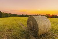 Property for sale in Washington County, Kentucky