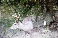 Farm Property for sale in Rockcastle County, Kentucky