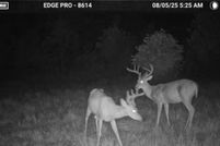 Property for sale in Morgan County, Kentucky