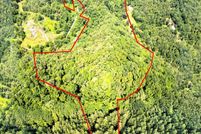 Undeveloped Land for sale in Cocke County, Tennessee