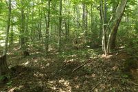 Undeveloped Land for sale in Carter County, Tennessee