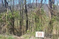 Undeveloped Land for sale in Unicoi County, Tennessee