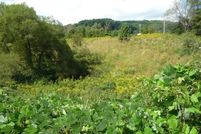 Undeveloped Land for sale in Scott County, Virginia