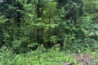 Undeveloped Land for sale in Sullivan County, Tennessee